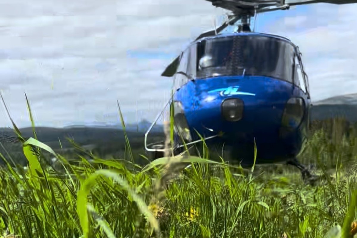 Blått helikopter med lasteline i blomstereng