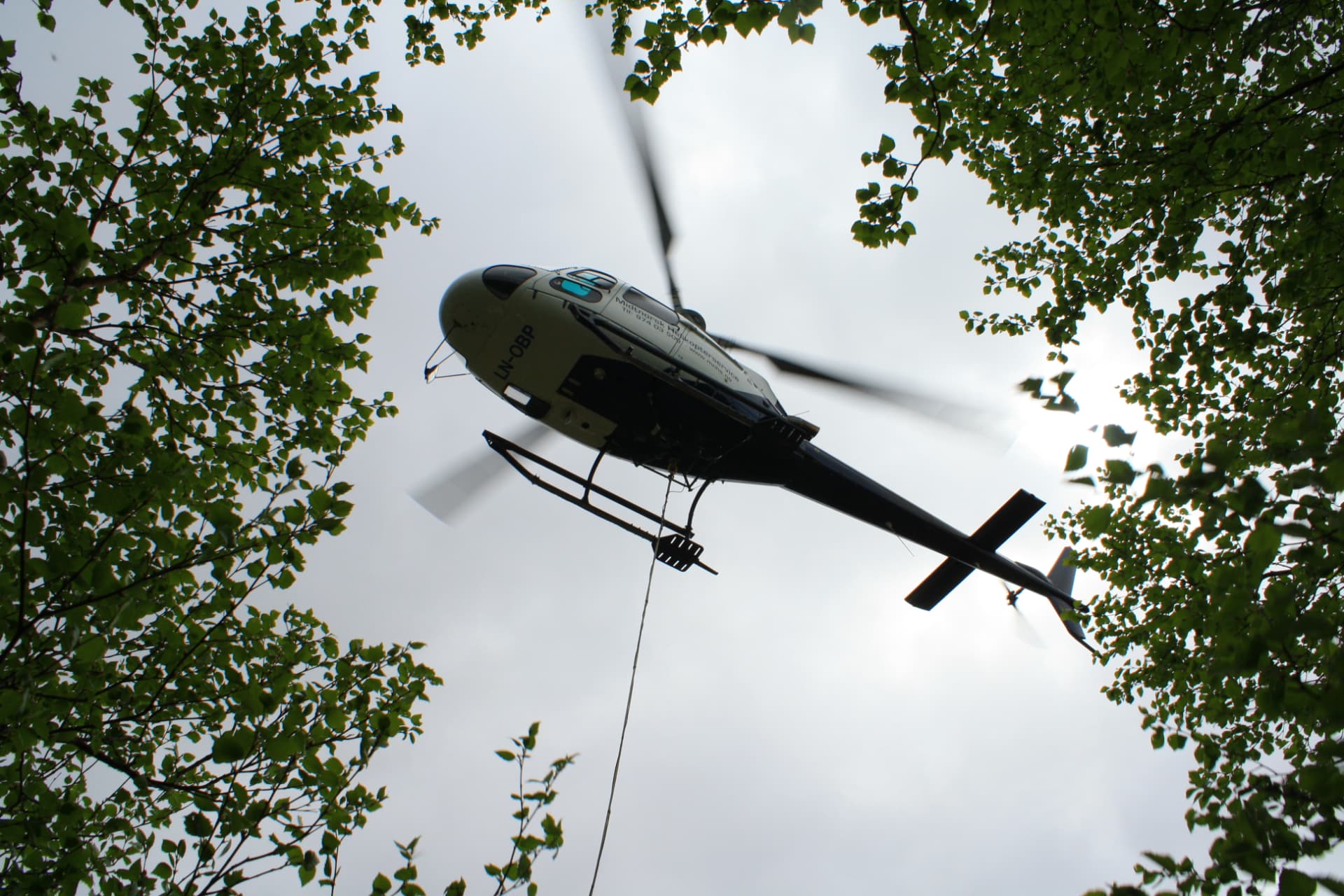 Helikopter med lasteline over bjørkeskog